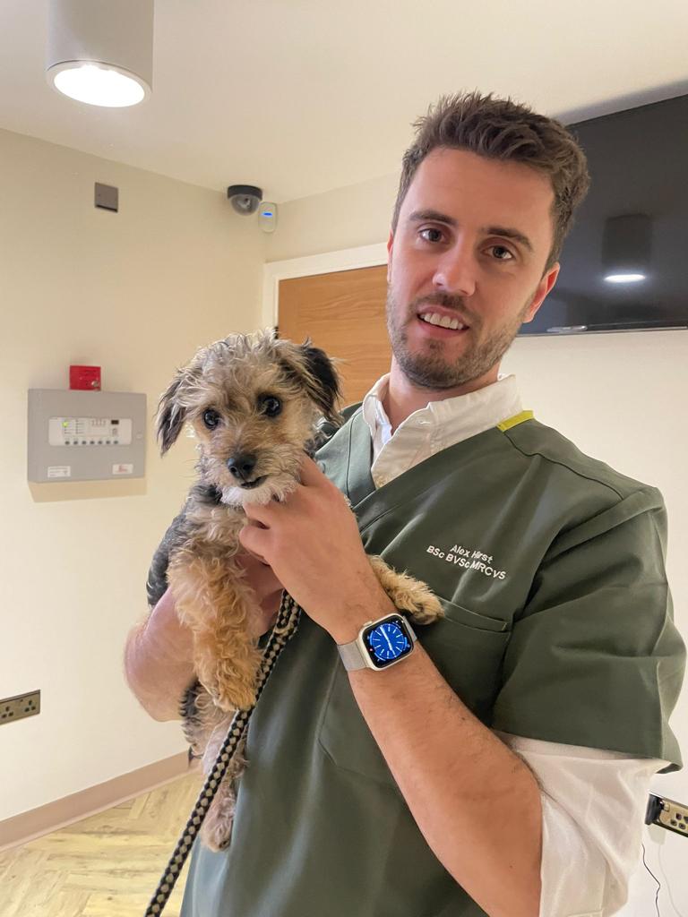 Alex Hirst with a patient at River Vets