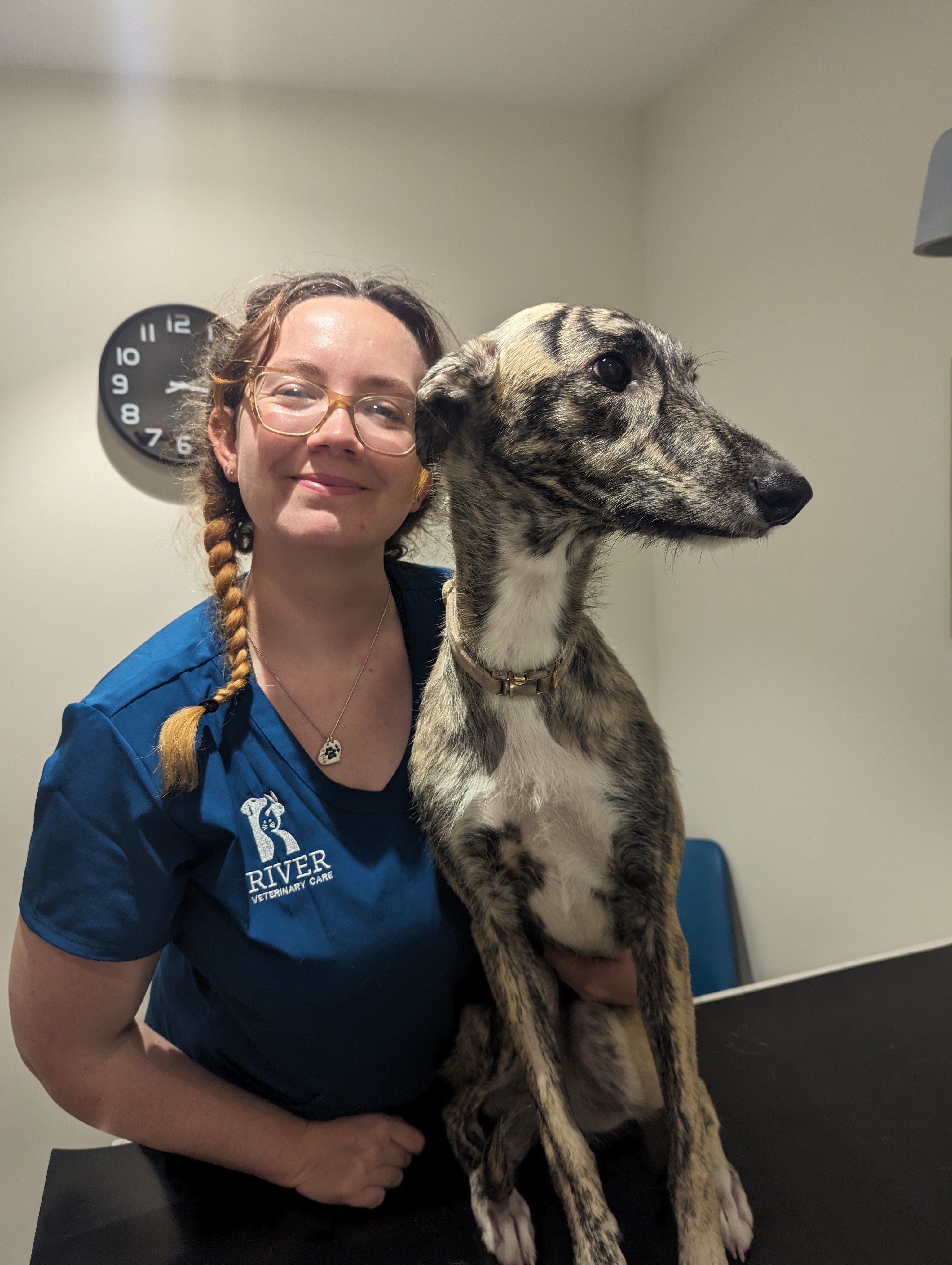 Emily Dorner with a brindle whippet
