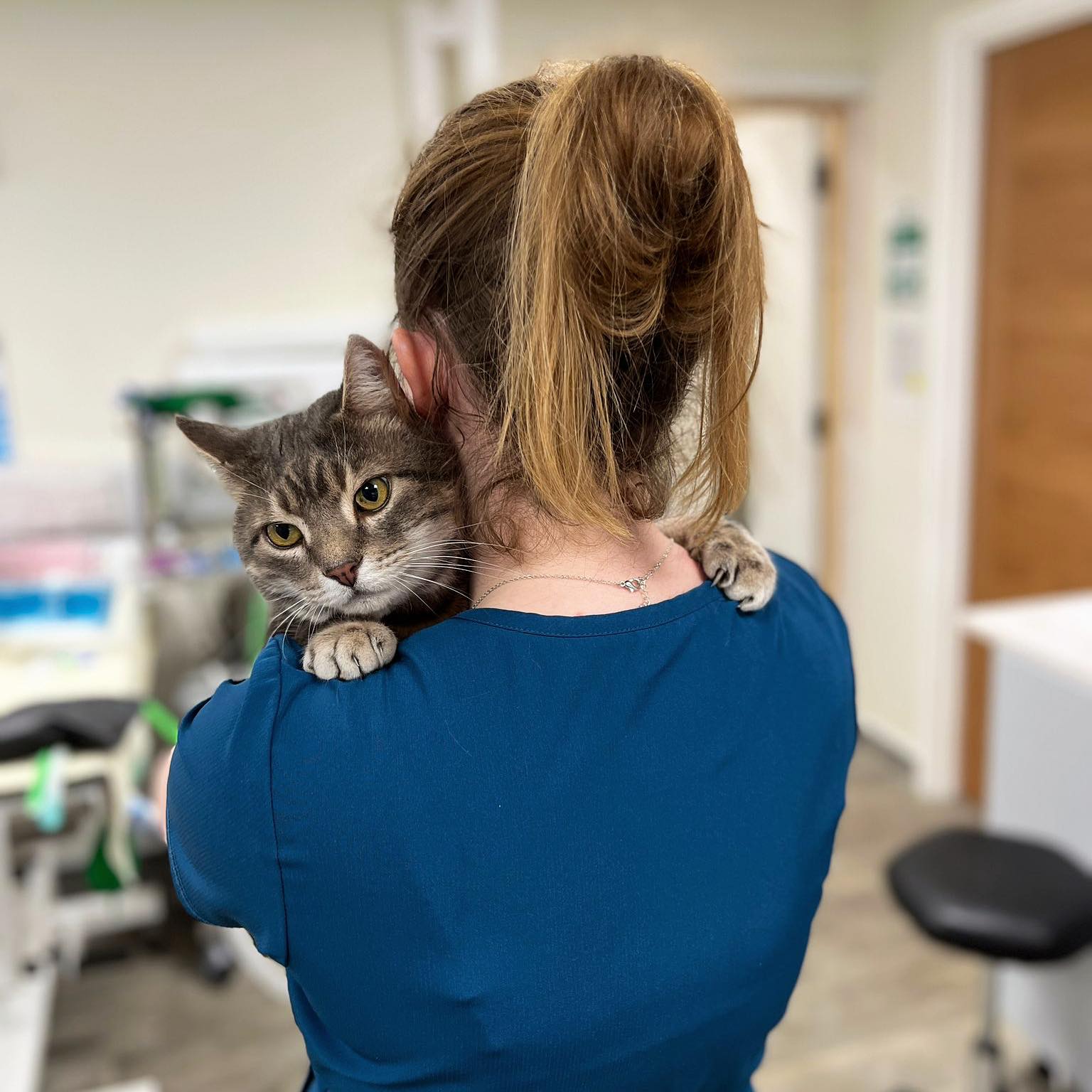 Nurse holding a tabby cat over her shoulder