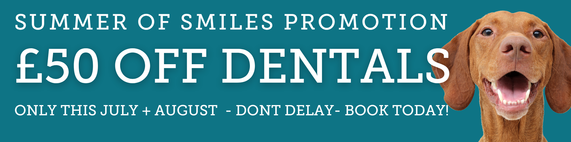 Summer of Smiles Promotion, £50 off dentals, only this July and August. Book today.